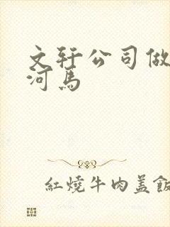 文轩公司做扩张河马封面