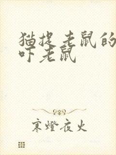 猫捉老鼠的声音吓老鼠