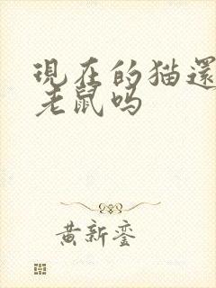 现在的猫还会捉老鼠吗