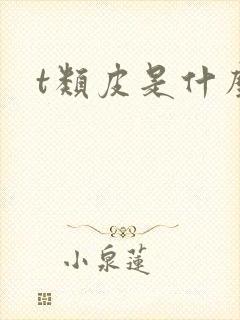 t类皮是什么皮