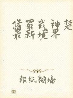 修罗武神楚枫的最新境界