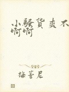 小骚货爽不爽啊啊啊封面