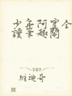 少年阿宾全文阅读笔趣阁封面