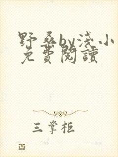 野桑by浅小说免费阅读