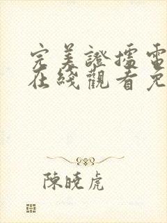 完美证据电视剧在线观看免费