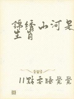 锦绣山河是什么生肖