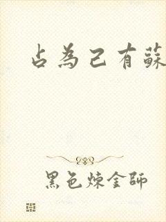 占为己有苏静初封面