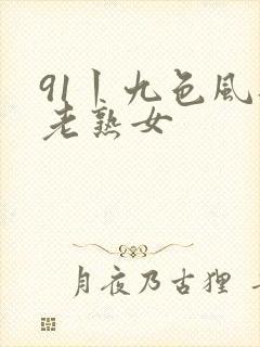 91丨九色风韵老熟女
