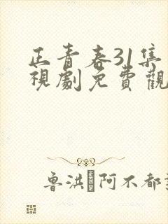 正青春31集电视剧免费观看