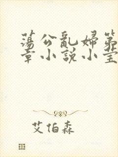 荡公乱妇第51章小说小莹