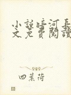 小说暗河长明全文免费阅读全文