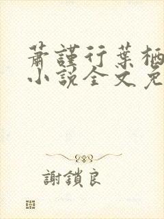 萧谨行叶栖迟的小说全文免费阅读封面