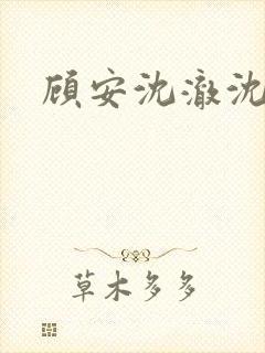 顾安沈澈沈清封面