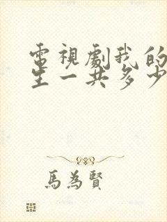 电视剧我的后半生一共多少集