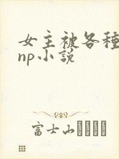 女主被各种淫玩np小说
