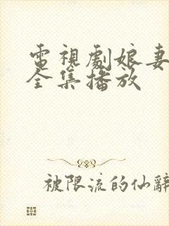 电视剧娘妻免费全集播放