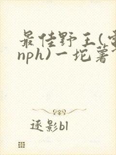 最佳野王(电竞nph)一坨薯饼