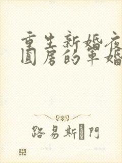 重生新婚夜正在圆房的军婚