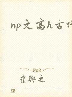 np文高h古代