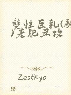 双性巨乳(骚受)老肥丑攻