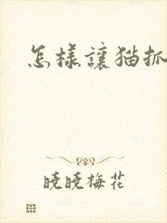 怎样让猫抓老鼠