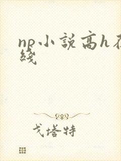np小说高h在线
