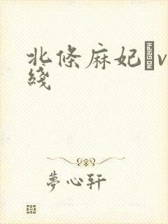 北条麻妃αv在线封面
