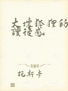 大坏狐狸的故事读后感