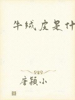 牛绒皮是什么皮