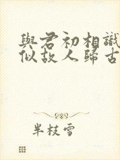 与君初相识,恰似故人归古诗