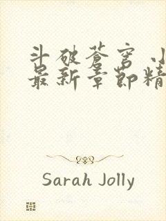 斗破苍穹 小说最新章节精校版