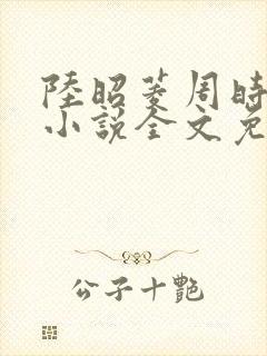 陆昭菱周时阅的小说全文免费阅读封面