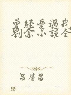 曾经爱过我林伟刘念小说全文免费阅读