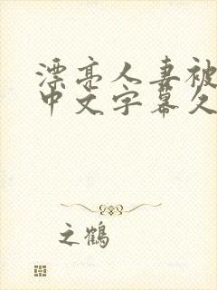 漂亮人妻被中出中文字幕久久