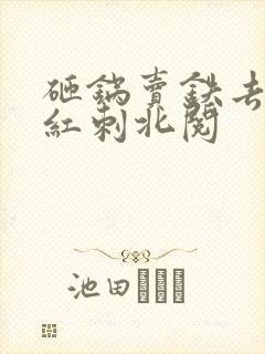 砸锅卖铁去上学红刺北阅封面