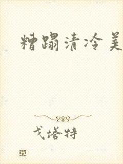 糟蹋清冷美人h