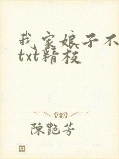 我家娘子不对劲txt精校