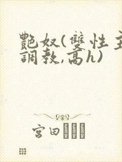 艳奴(双性主奴调教,高h)