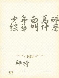 少年白马醉春风综艺叫什么封面