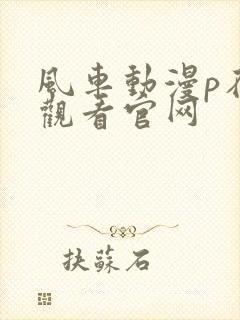 风车动漫p在线观看官网