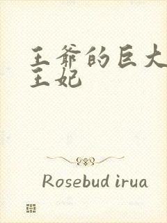 王爷的巨大进入王妃封面