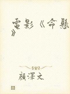 电影《命悬一枪》封面