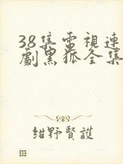 38集电视连续剧黑狐全集播放