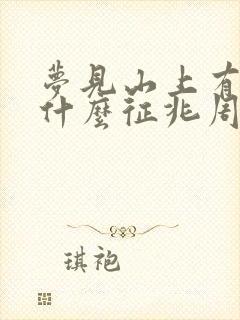 梦见山上有雪是什么征兆周公解梦