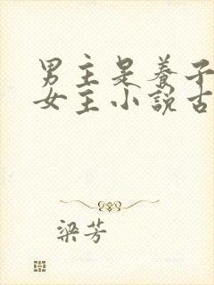 男主是养子爱上女主小说古言