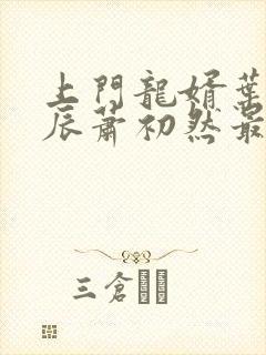 上门龙婿叶辰叶辰萧初然最新封面