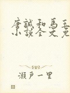 唐诚和马玉婷的小说全文免费