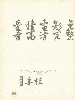 爱情电影免费观看高清完整版在