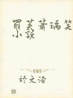 罗芙萧瑀笑佳人小说