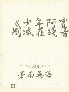 《少年阿宾》无删减在线看